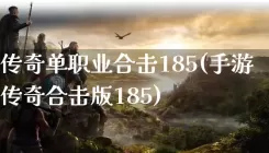 传奇单职业合击185(手游传奇合击版185)
